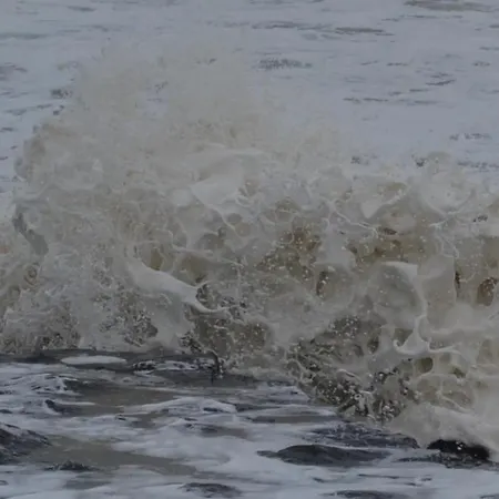 Ocean Sound 아파트